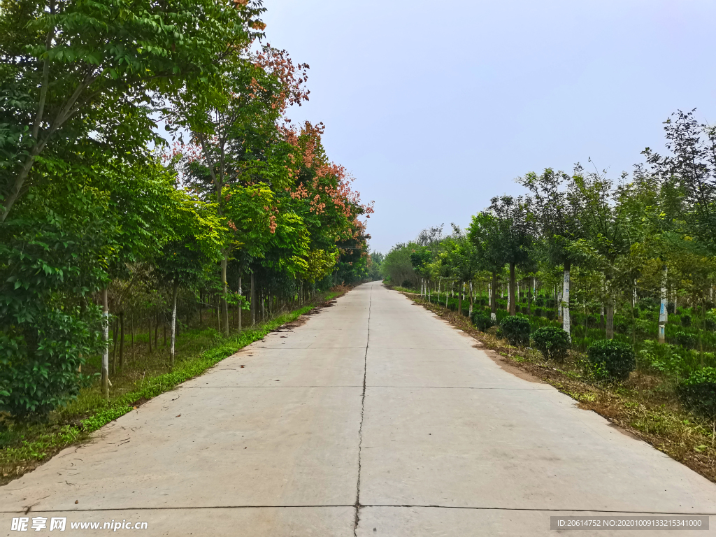 乡村道路风景