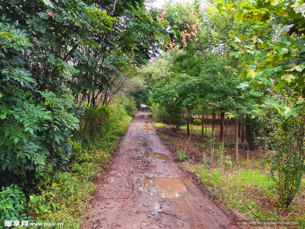 乡村道路风景