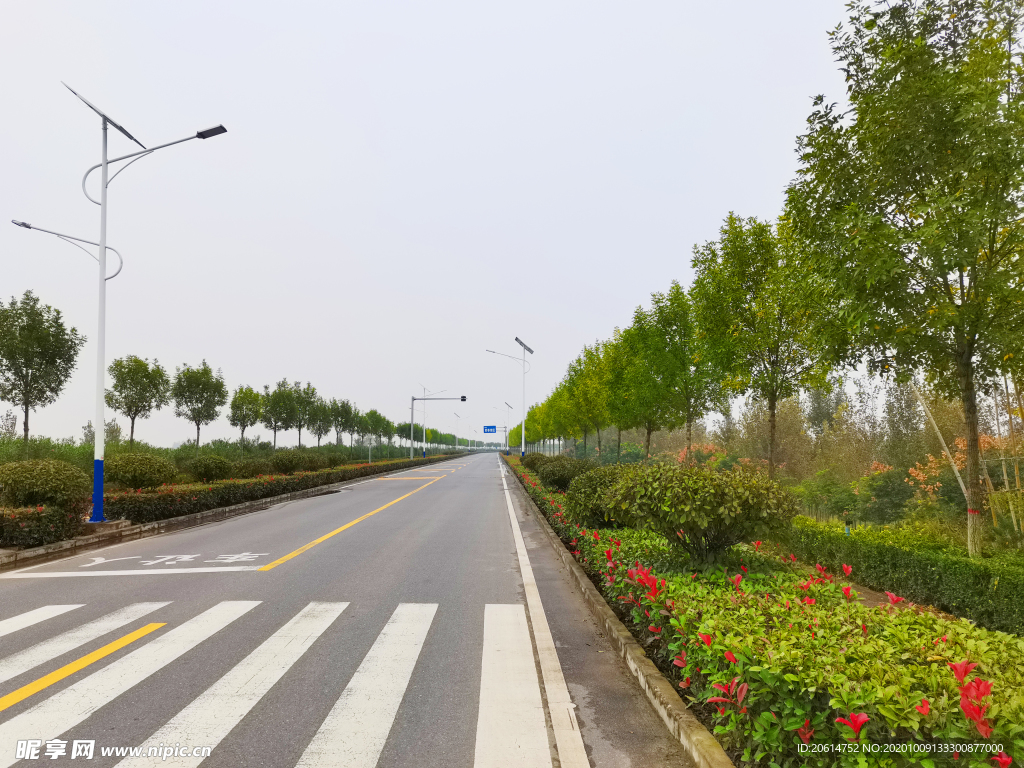 乡村道路风景