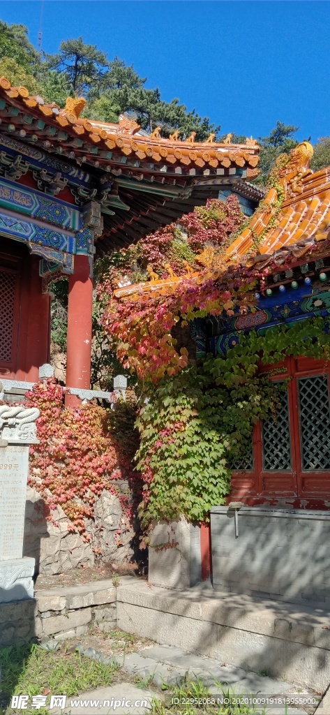 楼阁 中国风 古建筑