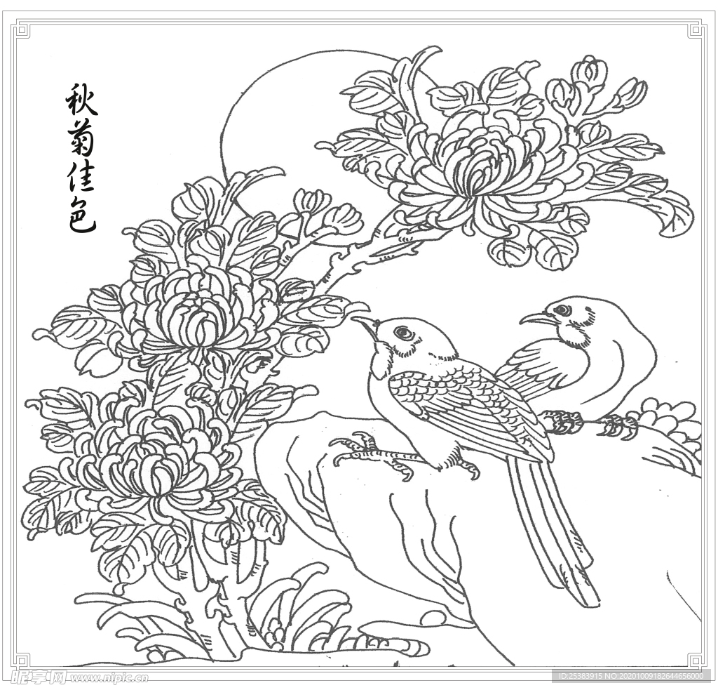 秋菊佳色