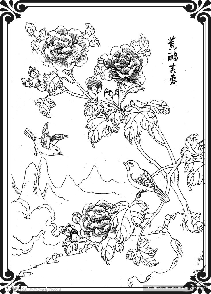 黄鹂芙蓉