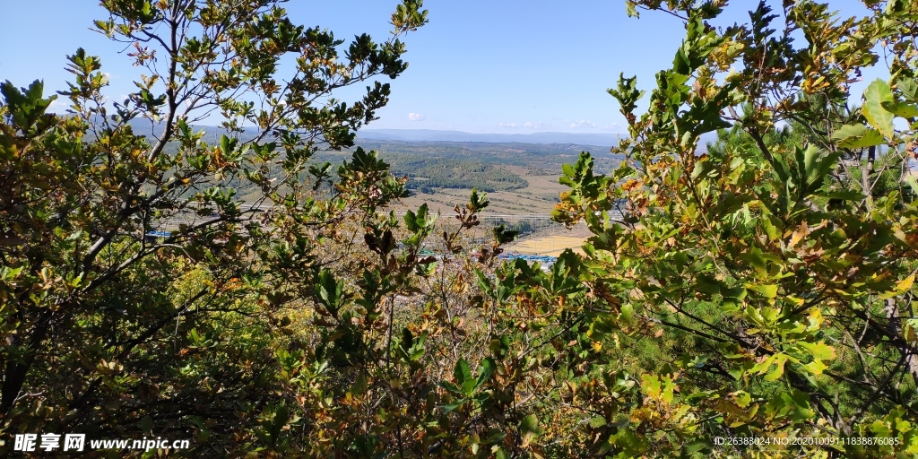琵岩山