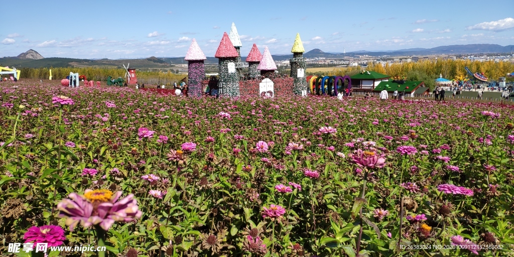 琵岩山花海