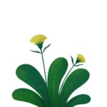 小素材 小物品 手账 物件