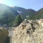 高山松树峡谷风景