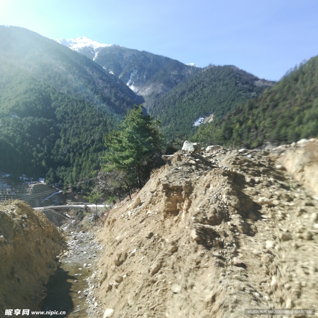 高山松树峡谷风景