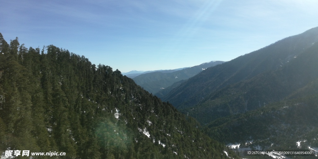 青山雪松风光