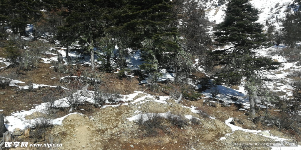 山野雪地风光