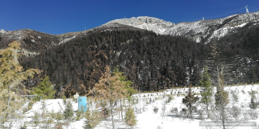 高山雪地树木风景