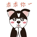 哈小哈