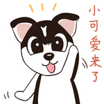 哈小哈