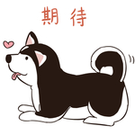 哈小哈