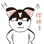 哈小哈