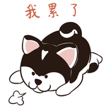 哈小哈