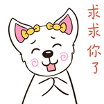 猫小米