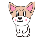 猫本本