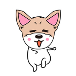 猫本本