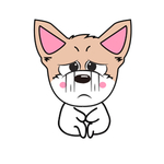 猫本本