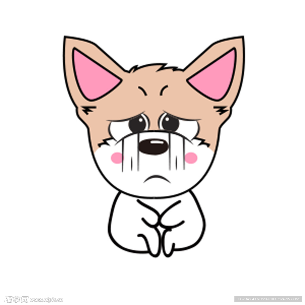 猫本本