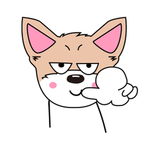 猫本本