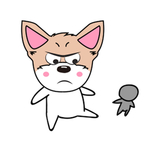 猫本本