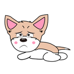 猫本本