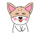 猫本本