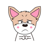 猫本本