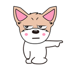 猫本本 猫