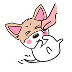 猫本本