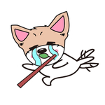 猫本本