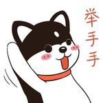 哈有有