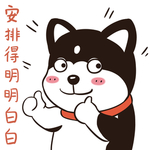 哈有有