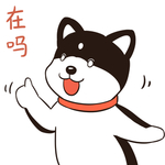 哈有有