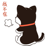 哈有有