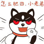 哈有有