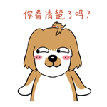 哈洋洋
