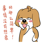 哈洋洋