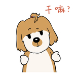 哈洋洋