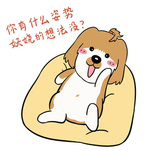 哈洋洋