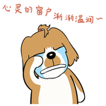 哈洋洋