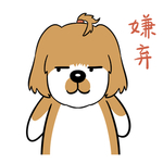 哈洋洋