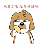 哈洋洋
