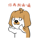 哈洋洋