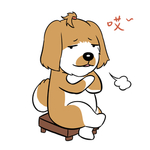 哈洋洋