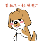 哈洋洋