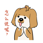 哈洋洋