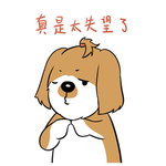 哈洋洋