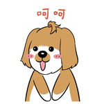 哈洋洋